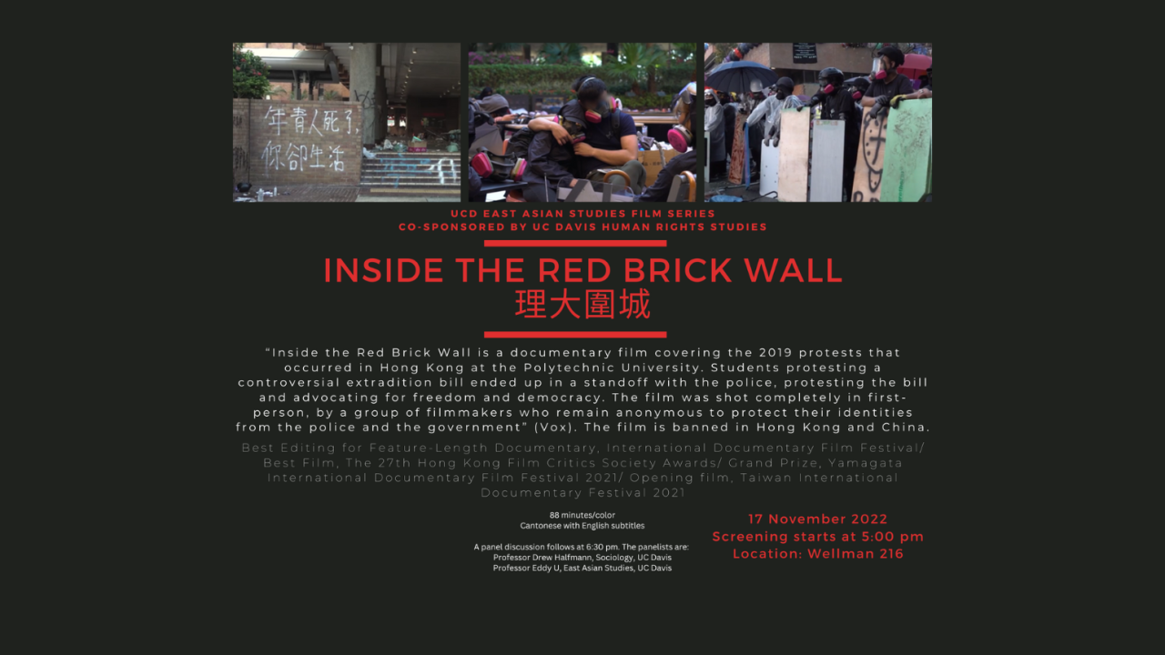 Flyer for Inside the Red Brick Wall Film